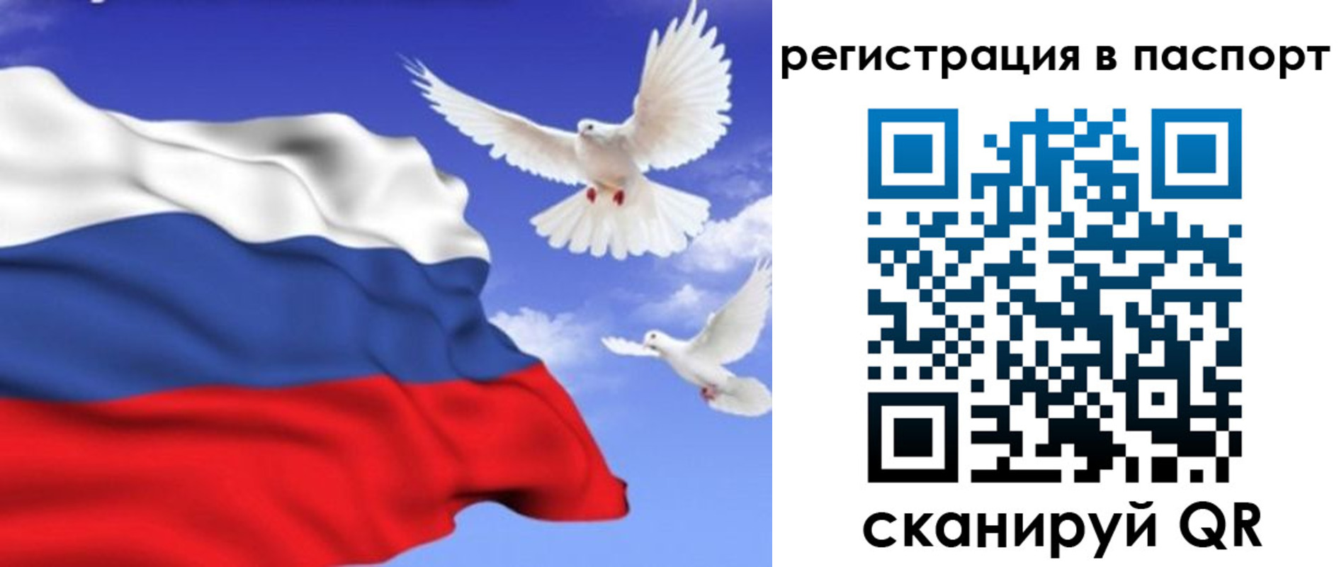 купить прописку в Балашихе